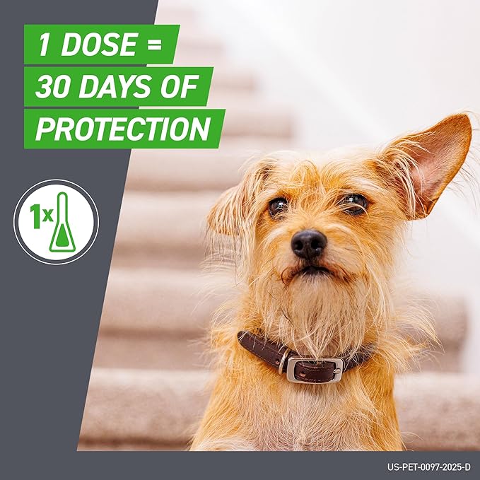 FRONTLINE Plus Flea & Tick Treatment for Small Dogs (5–22 lbs) — 6 Dose Pack