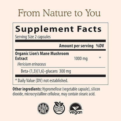Lion’s Mane Mushroom Extract – Cognitive & Immune Support Capsules (120 Count)
