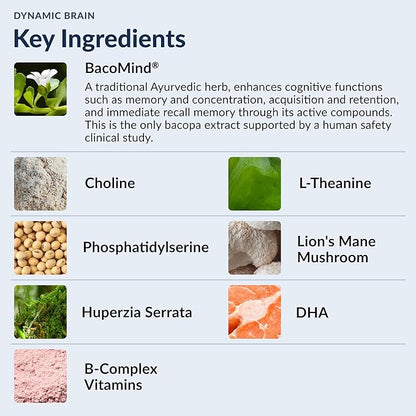 Stonehenge Health Dynamic Brain — Cognitive Nootropic & Memory Support (60 Capsules)