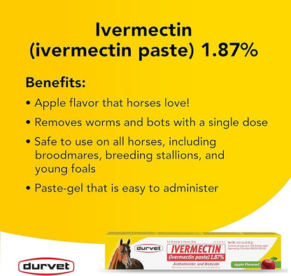 Ivermectin Paste Equine Dewormer — Apple Flavor (6.08 g, 3-Pack)