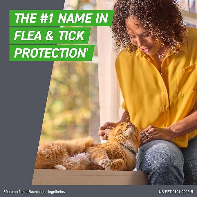 Frontline Plus Flea & Tick Treatment for Cats (Over 1.5 lbs) — 6 Treatments