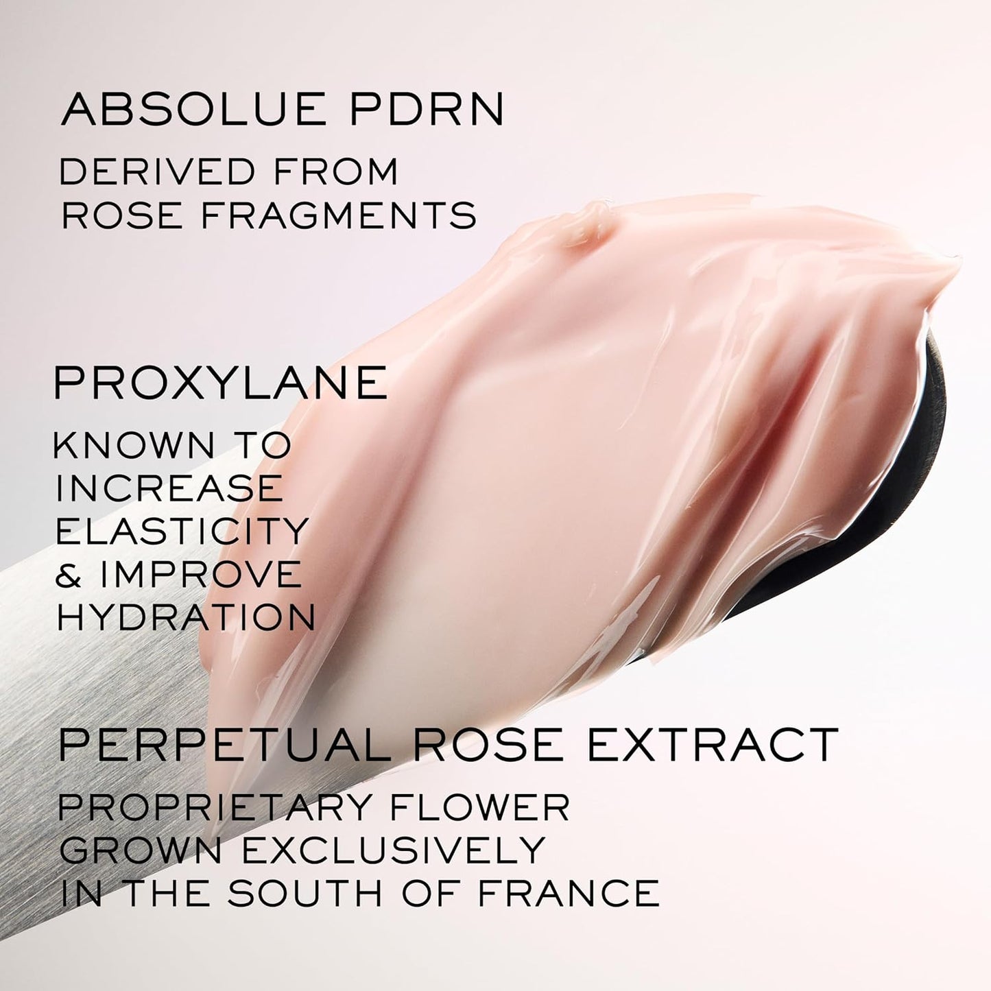 Lancôme Absolue The Soft Cream 2 oz | Anti-Aging Moisturizer