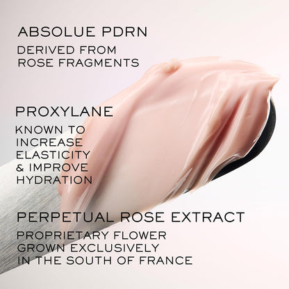 Lancôme Absolue The Soft Cream 2 oz | Anti-Aging Moisturizer