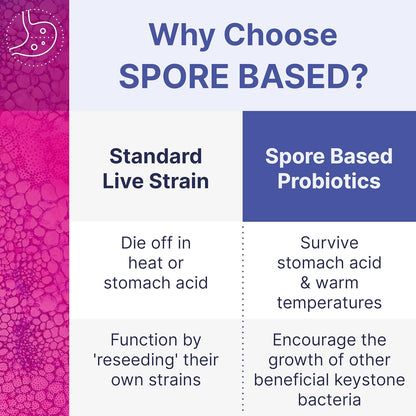 Microbiome Labs MegaSporeBiotic Probiotic Supplement